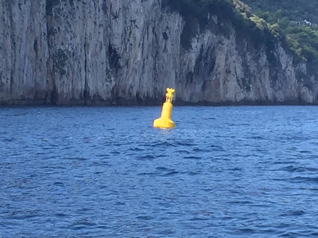 CAPRIAMOCI BENE LE BOE ALLA GROTTA AZZURRA