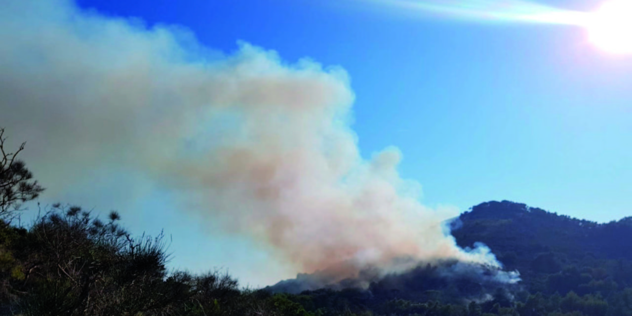 UNA RAGAZZATA IL MOTIVO DELL’INCENDIO  A CETRELLA