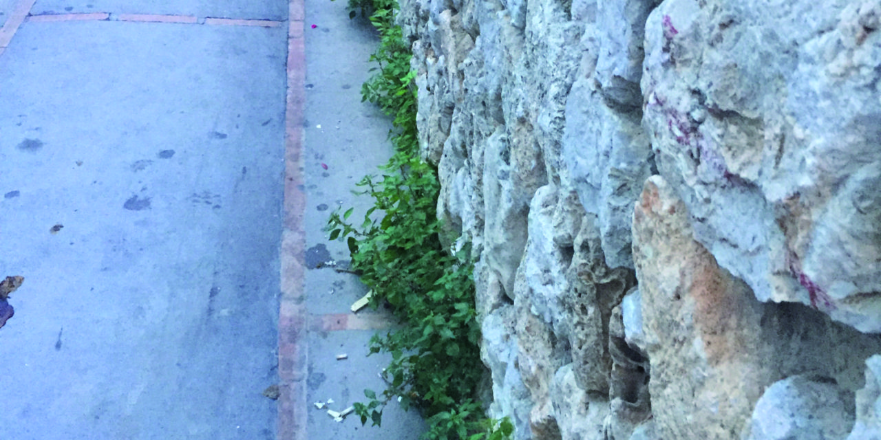 CAPRI SERVIZI E VERDE PUBBLICO TANTI SOLDI, MURA CON ERBACCE