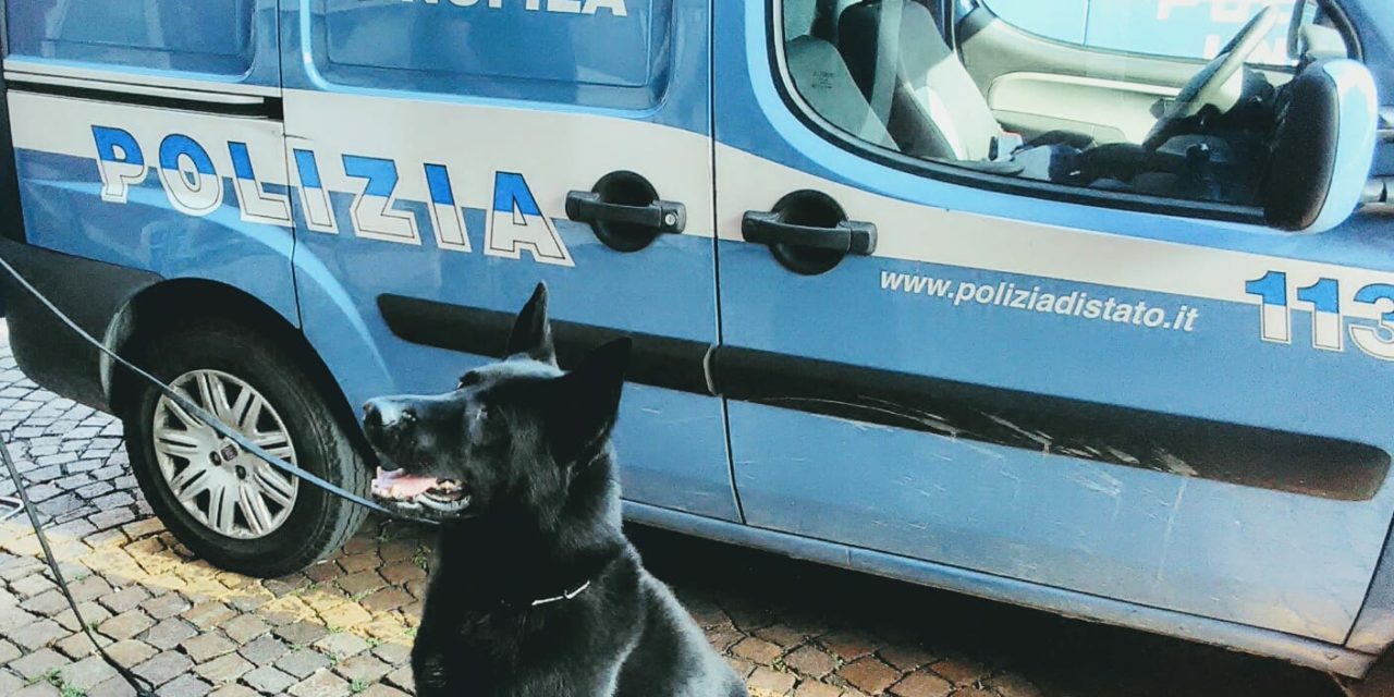 POLIZIA: 50 GRAMMI DI HASHISH PER I CONSUMATORI LOCALI