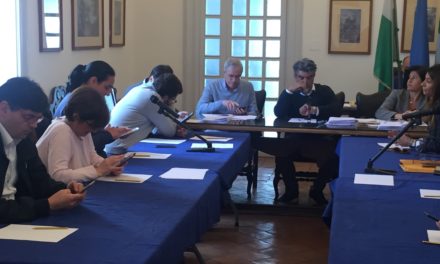 Consiglio Comunale di Capri del 29 Giugno 2019