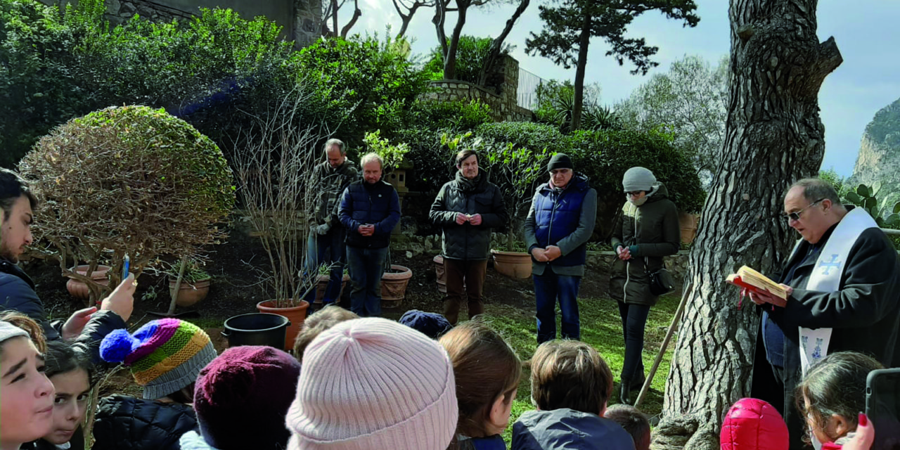 UN MELOGRANO PER MATTEO piantato un albero in occasione della giornata mondiale del cancro infantile