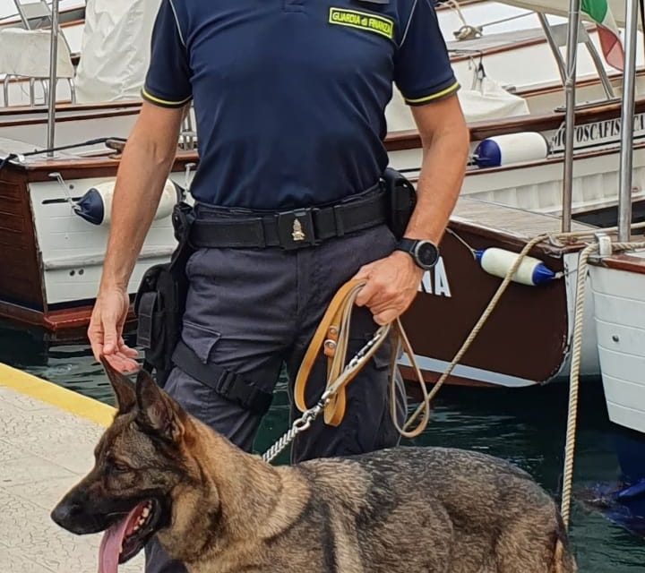 GUARDIA DI FINANZA E DOGANA ARRESTANO AL PORTO UNO SPACCIATORE DI DROGA.